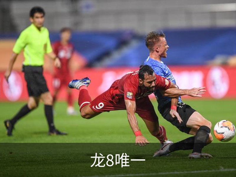 龙8唯一简介